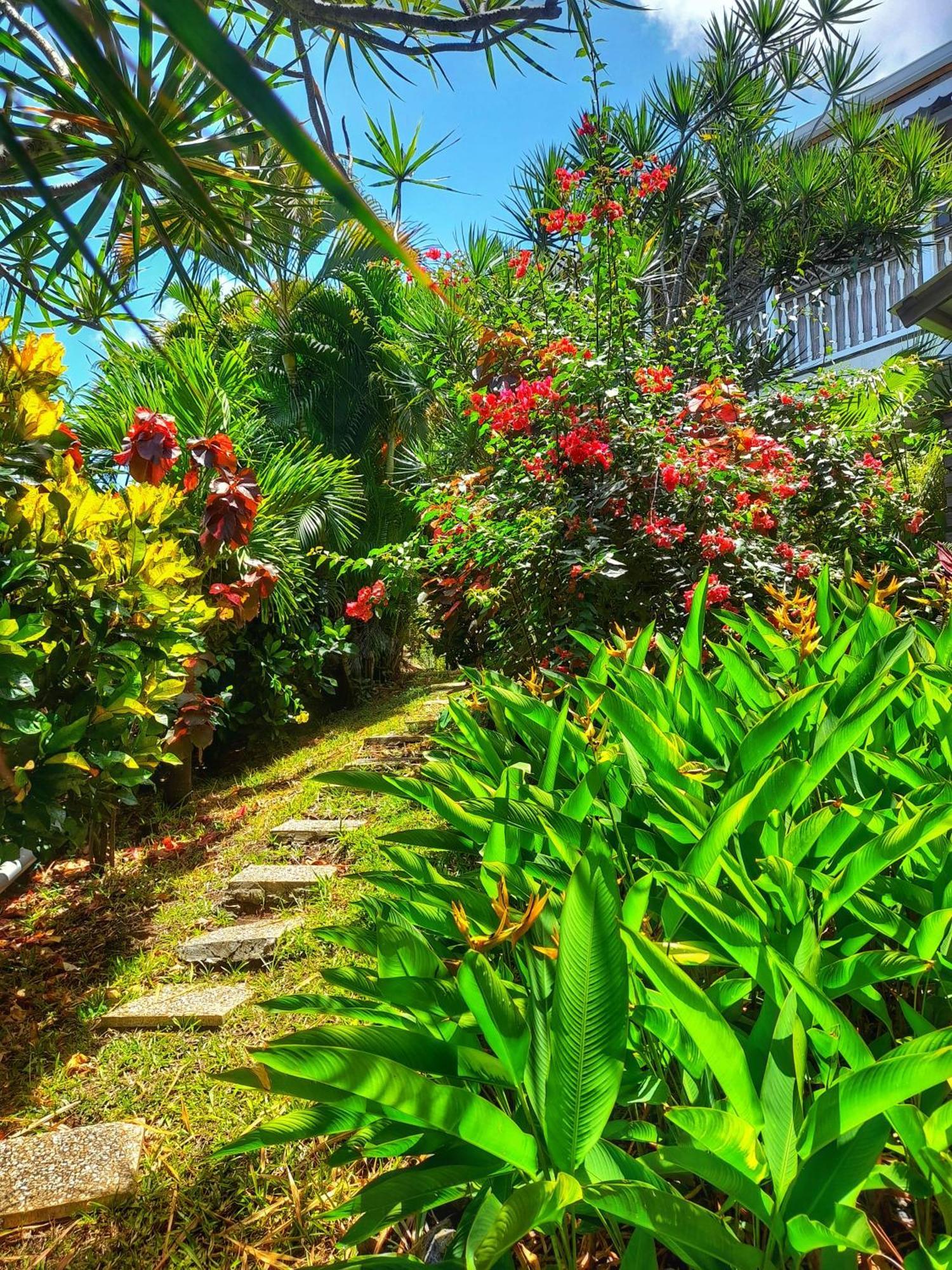 Studio Frangipani Dans Villa Fleurs Des Iles Le Vauclin Eksteriør bilde